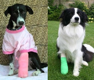Your donation helped us